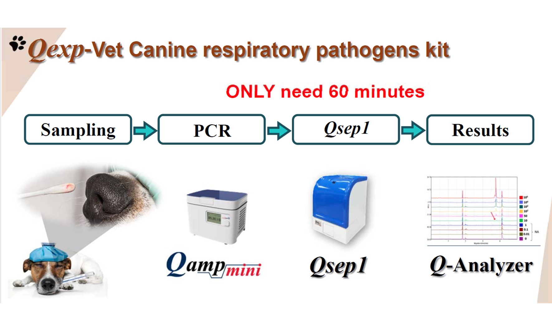 光鼎多重PCR 寵物檢測試劑 亮相
